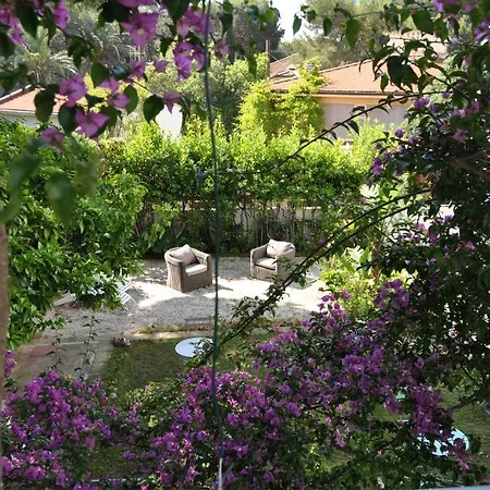 Guerrini Castiglioncello