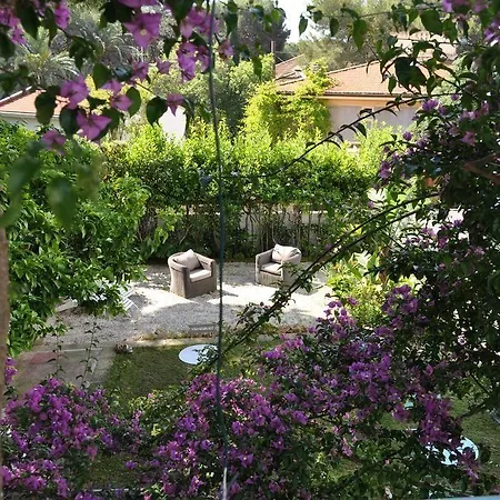 Guerrini Castiglioncello